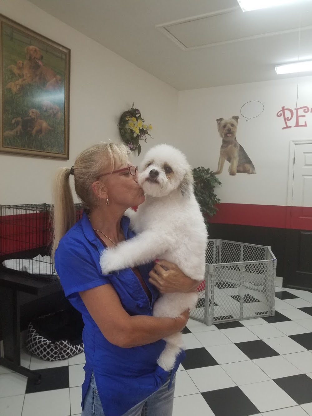 Canine Creations Pet Salon and Spa