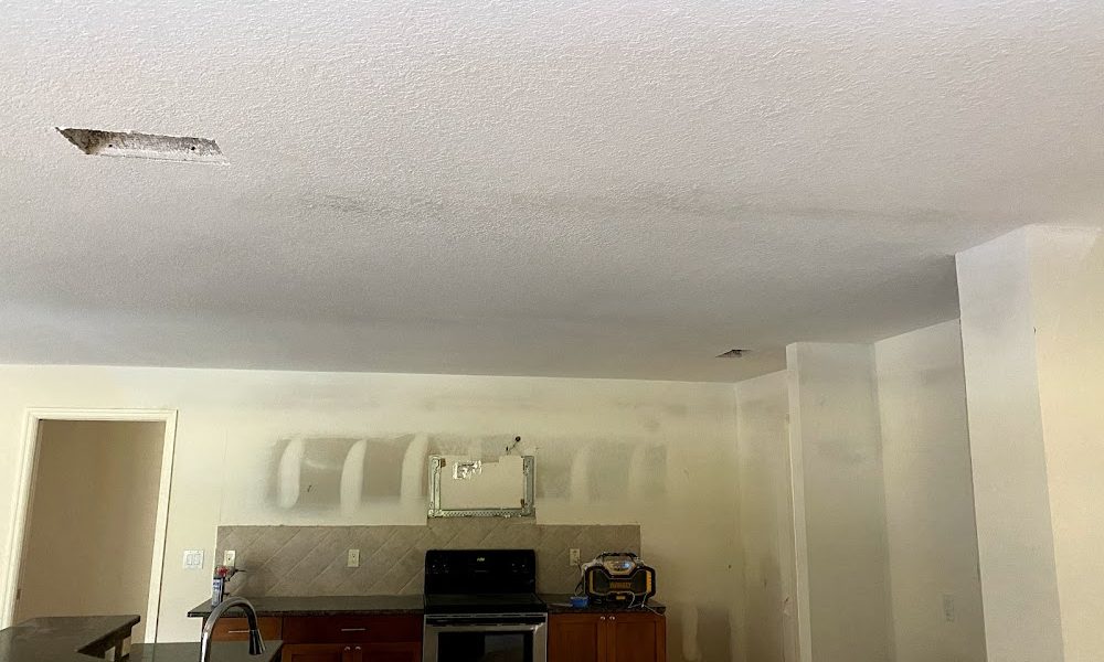 Final touch drywall & ceiling refinishing