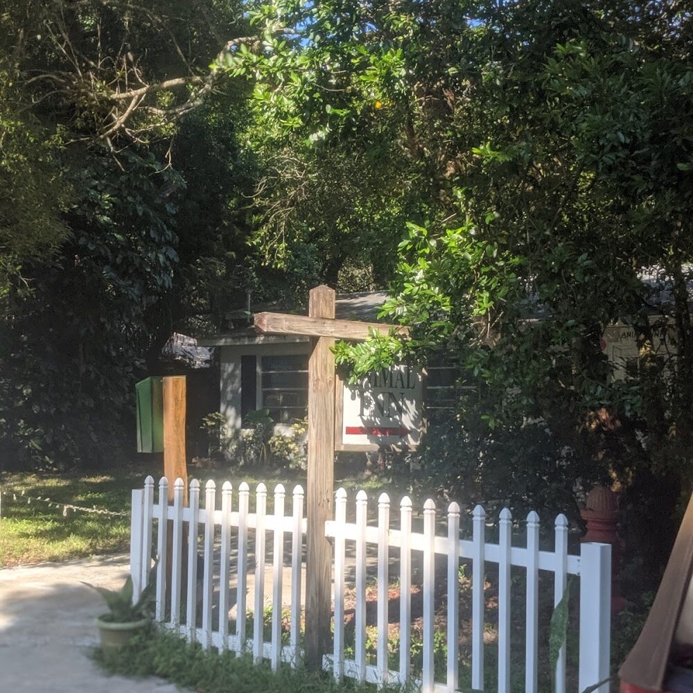 Animal Inn-New Port Richey