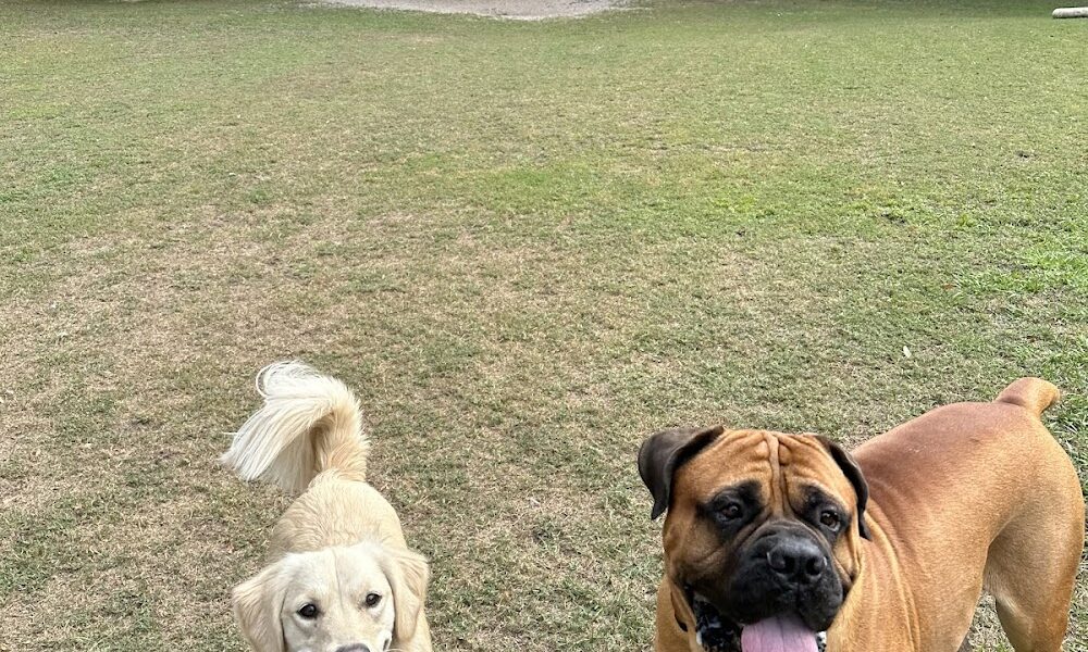 Happy Tails Pet Lodge