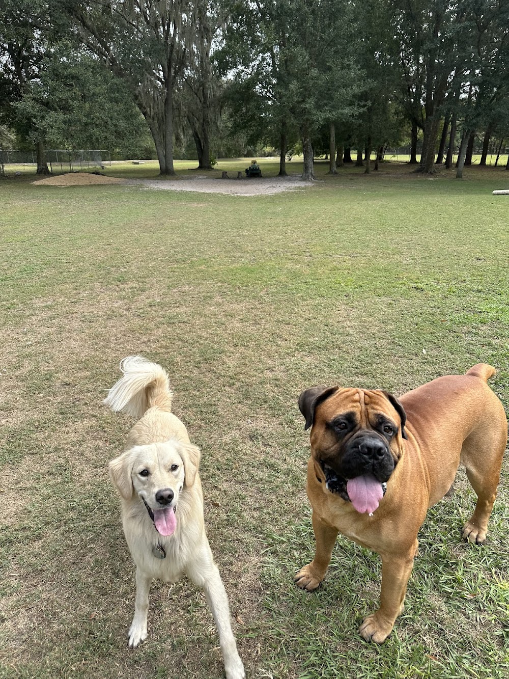 Happy Tails Pet Lodge
