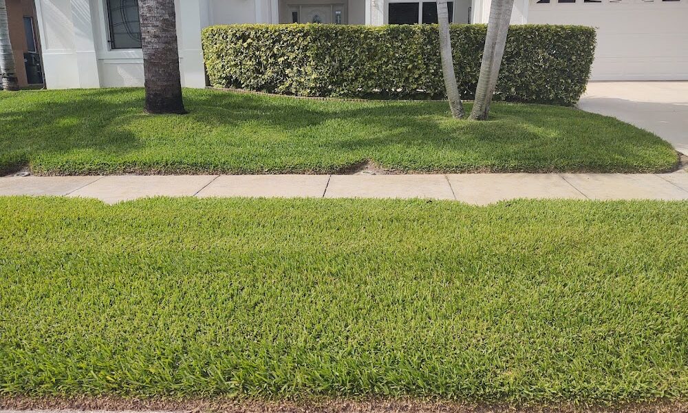 Hughes Exterminators