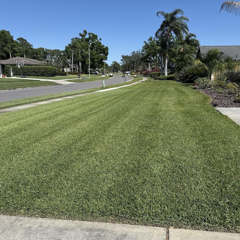 Nvirotect Pest Control Services Inc