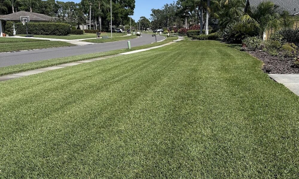 Nvirotect Pest Control Services Inc