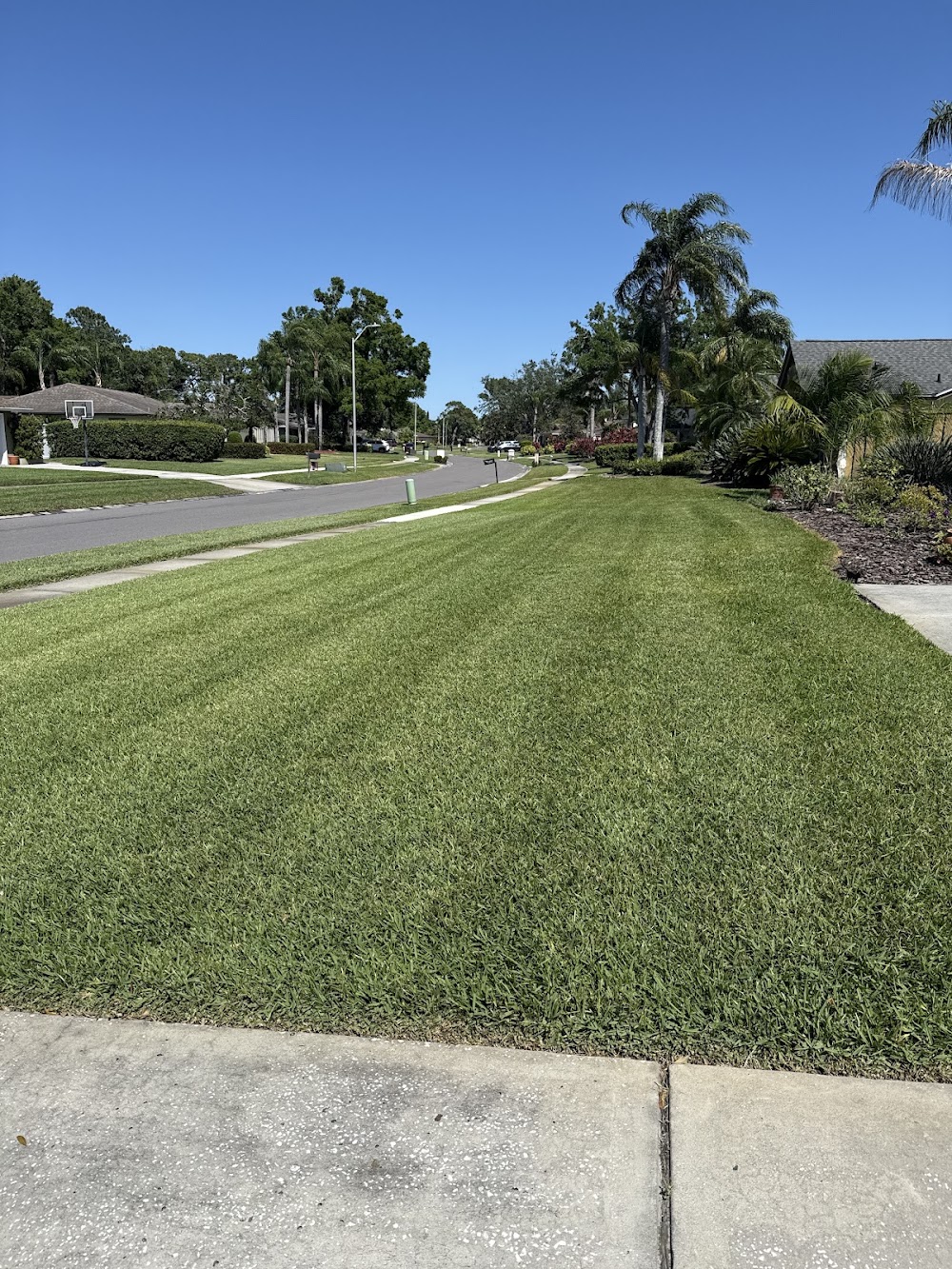 Nvirotect Pest Control Services Inc