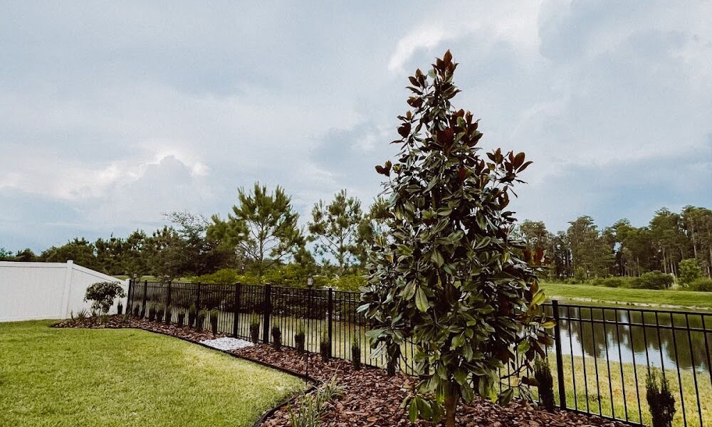 GB Grow Lawn and Landscape