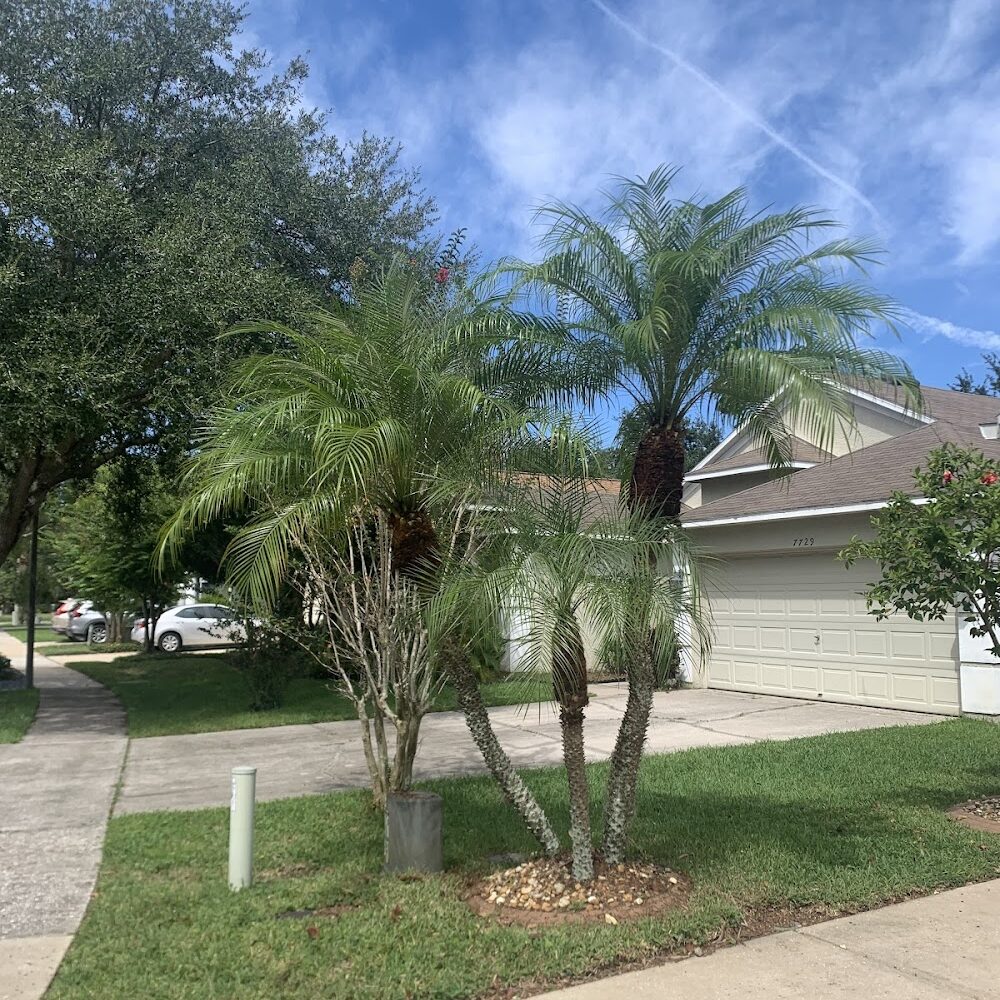 Seth Colbert Landcaping