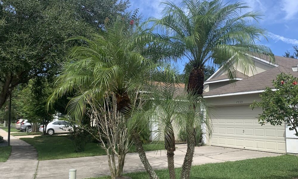 Seth Colbert Landcaping