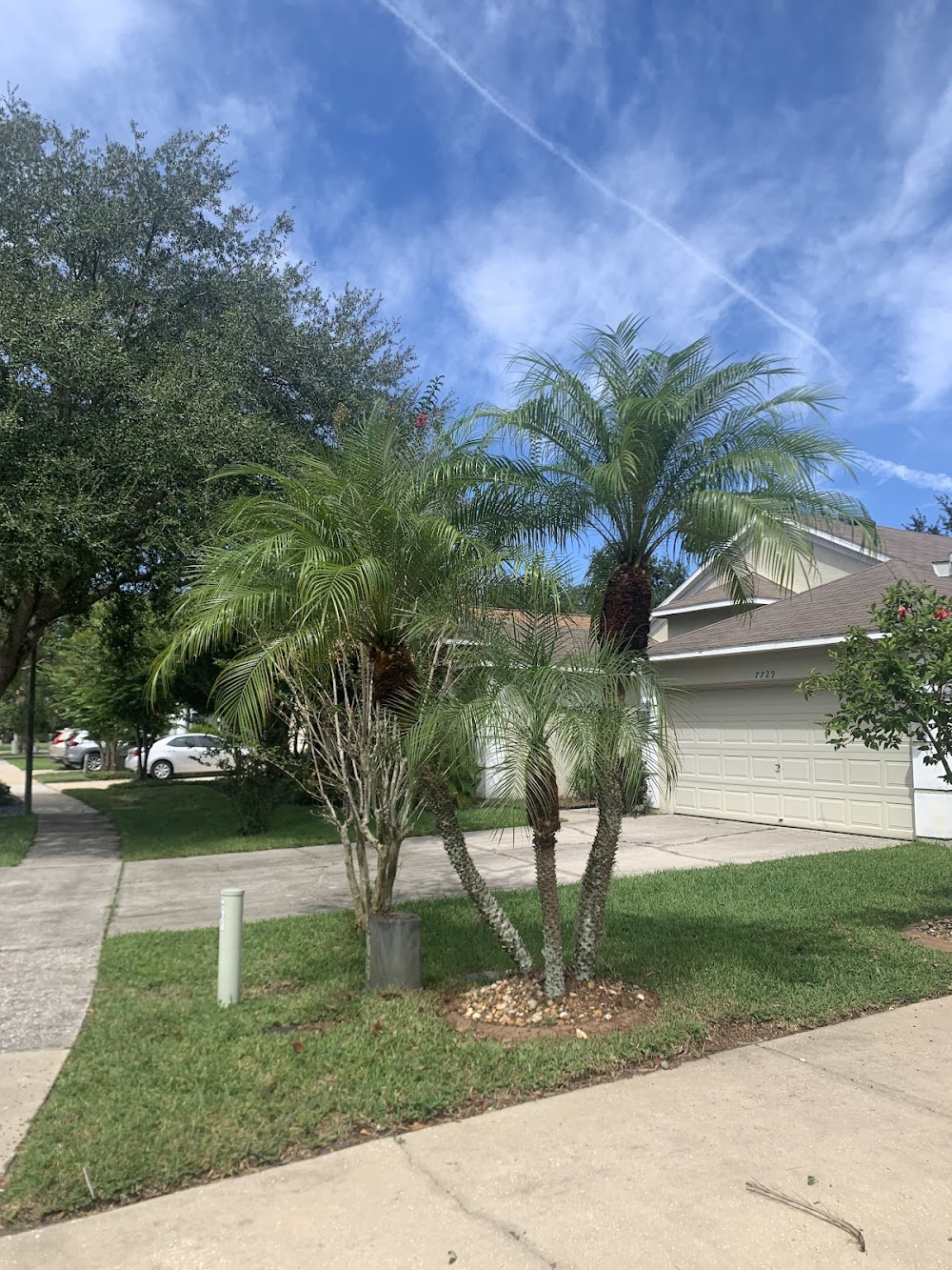 Seth Colbert Landcaping